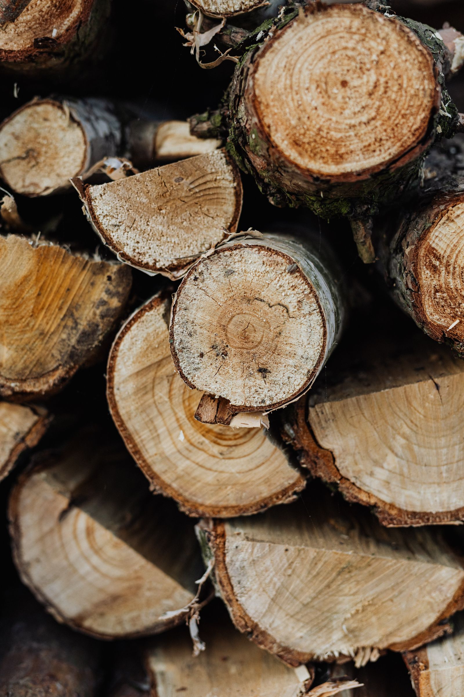 Firewood rounds for the owner in Cedar Hills, Beaverton
